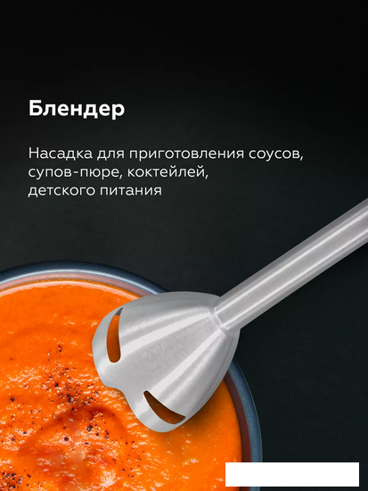 Погружной блендер BQ HB601S (сталь/черный)