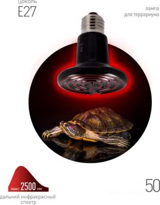 Тепловая лампа ЭРА CeramiHeat RX FITO-50W-НQ Б0052714
