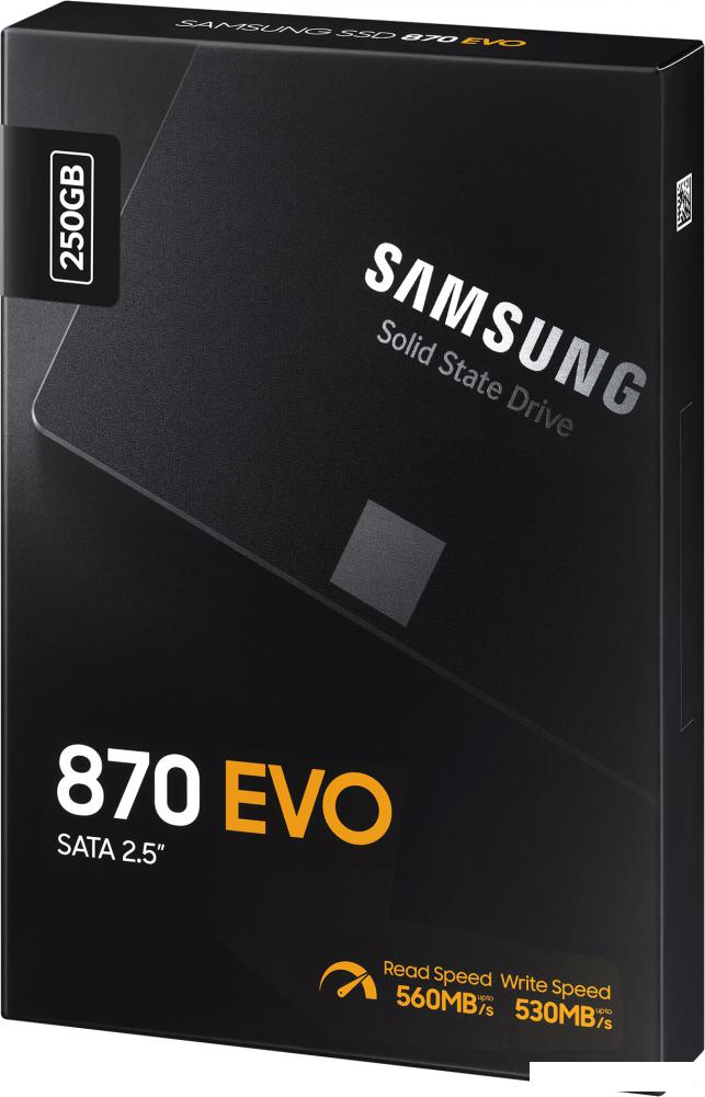 SSD Samsung 870 Evo 250GB MZ-77E250BW