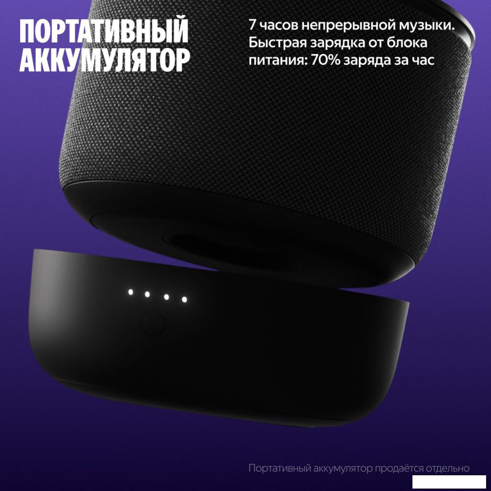 Умная колонка Яндекс Станция Мини 3 Про (черный)