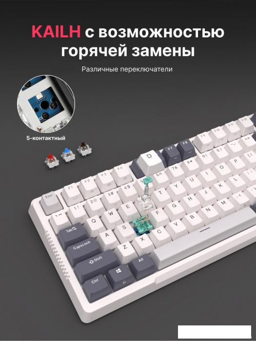 Клавиатура Royal Kludge RK-H81 RGB White Night (RK Cyan)