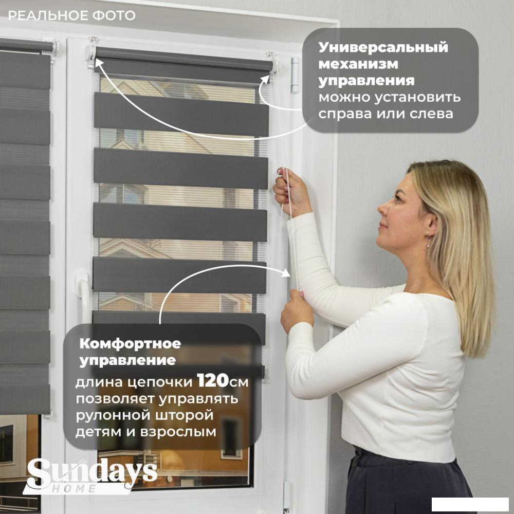 Шторы день-ночь Sundays Home ДН LB 111-10 160x170 (графитовый)