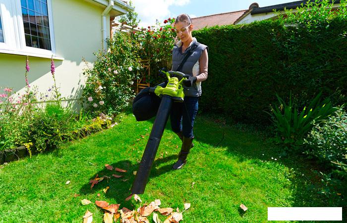 Ручная воздуходувка Ryobi RBV3000CSV