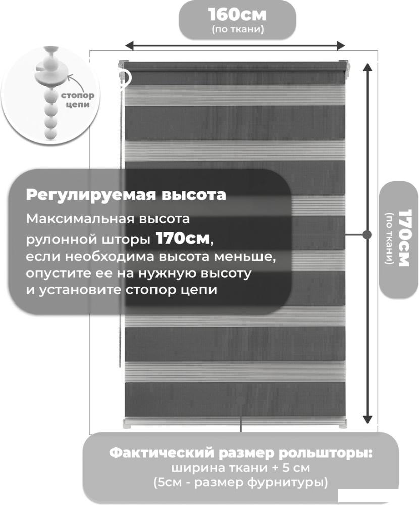 Шторы день-ночь Sundays Home ДН LB 111-10 160x170 (графитовый)