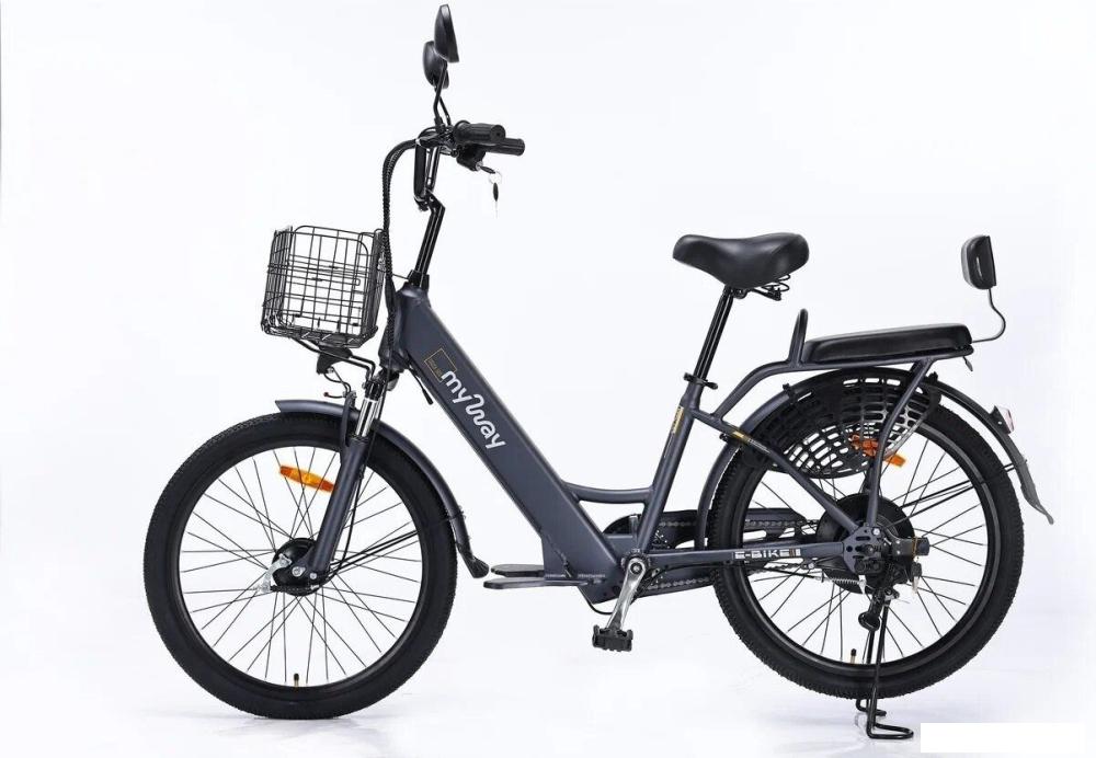 Электровелосипед MyWay Truck 500 24 (графит)