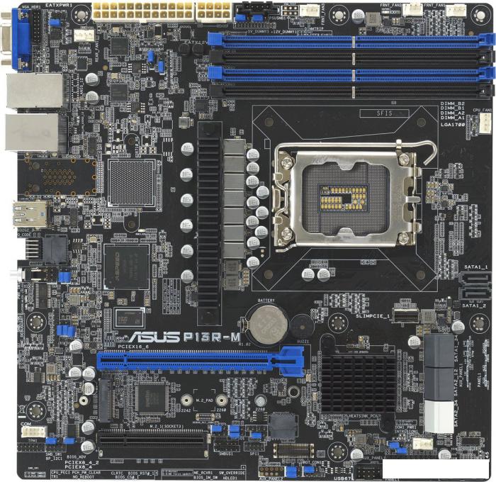 Материнская плата ASUS P13R-M