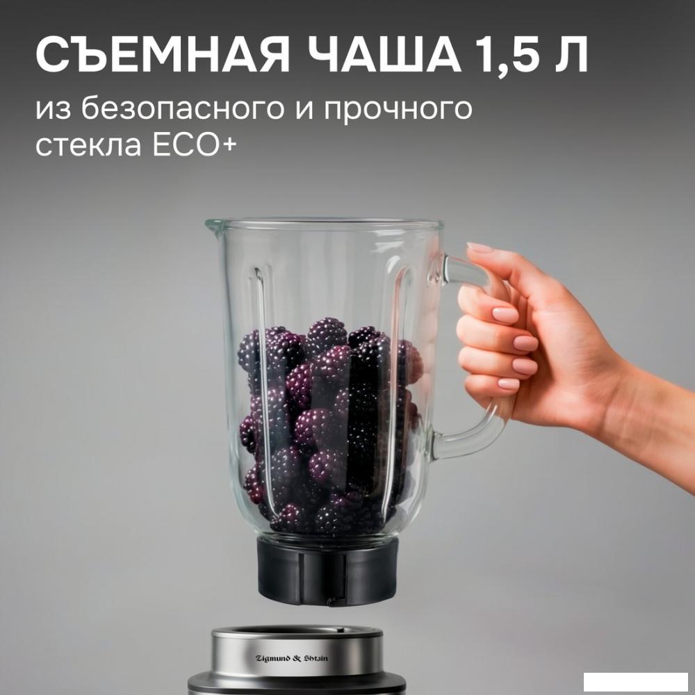 Стационарный блендер Zigmund &amp; Shtain BS-488 D