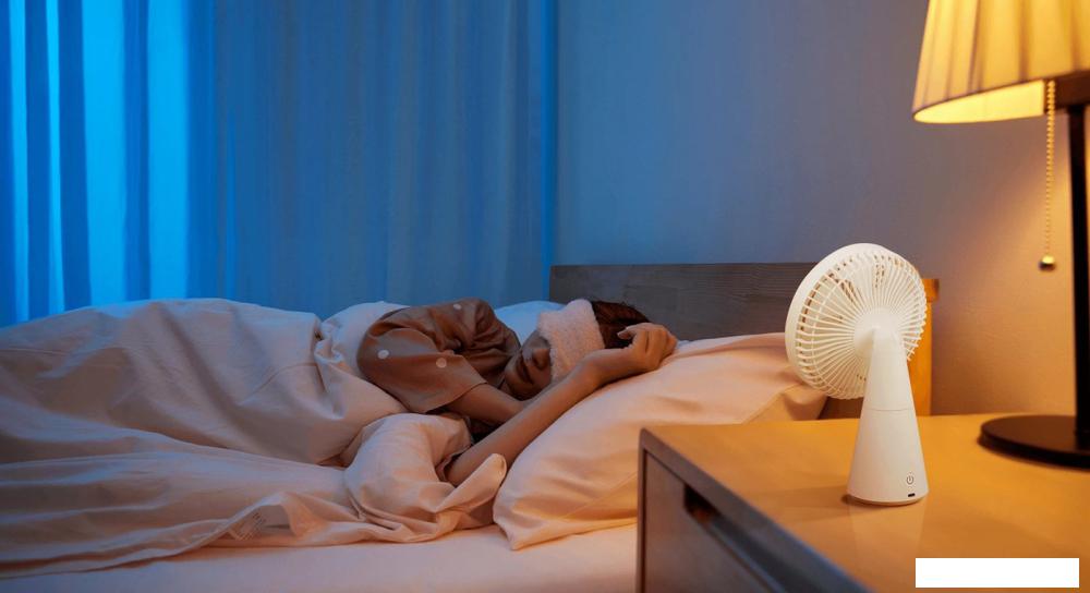 Вентилятор Xiaomi Mijia Desktop Mobile Fan ZMYDFS01DM (с переходником на евровилку)