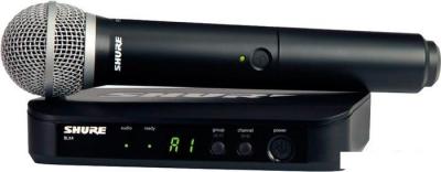 Радиосистема Shure BLX24E/PG58-M17