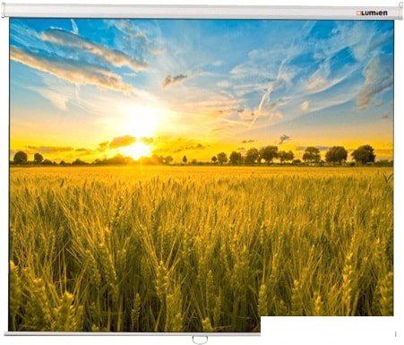 Проекционный экран Lumien Eco Picture 153x272 LEP-100119