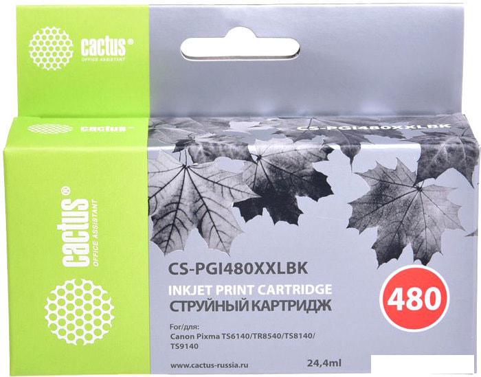 Картридж CACTUS CS-PGI480XXLBK (аналог Canon PGI-480XXL PGBK)
