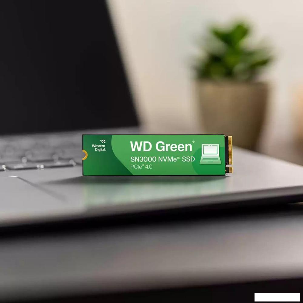 SSD WD Green SN3000 1TB WDS100T4G0E