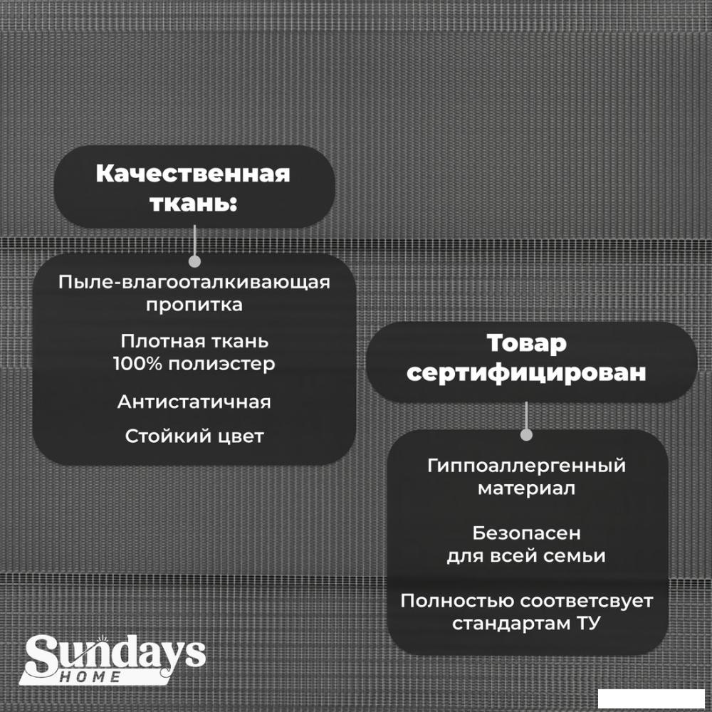 Шторы день-ночь Sundays Home ДН LB 111-10 160x170 (графитовый)