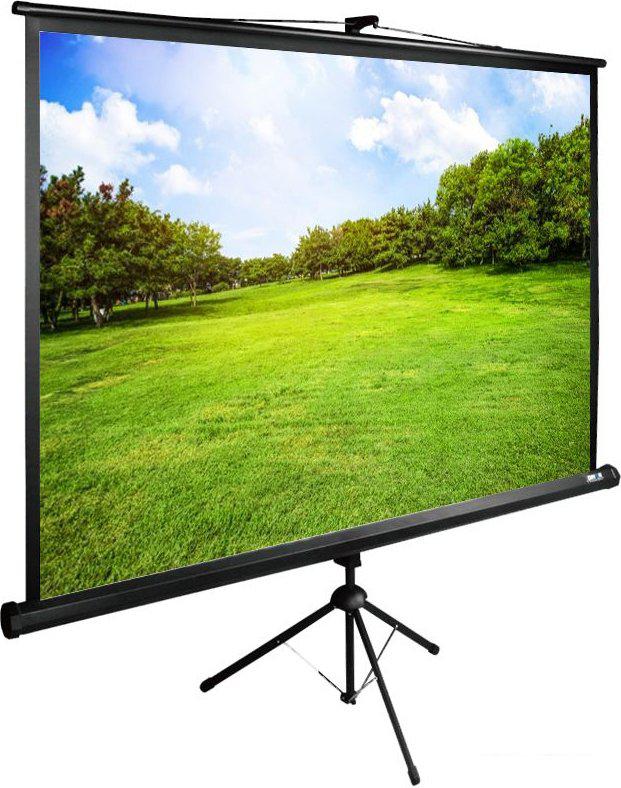 Проекционный экран CACTUS TriExpert 220x165 CS-PSTE-220х165-BK