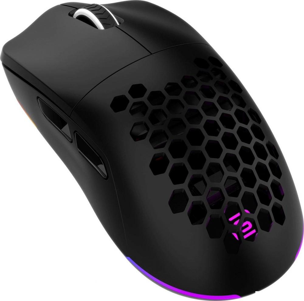 Игровая мышь Оклик 900GMW (черный)