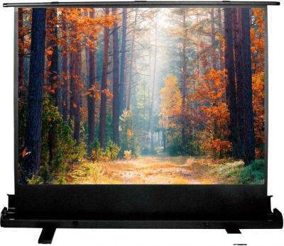 Проекционный экран CACTUS FloorExpert 120x160 CS-PSFLE-160X120