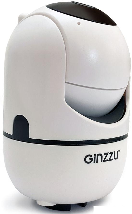 IP-камера Ginzzu HWD-2302A