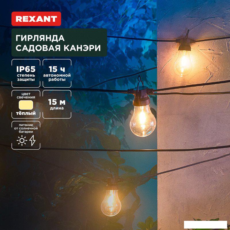 Светодиодная гирлянда Rexant Канэри 602-2422