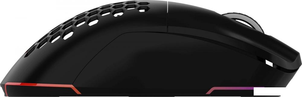 Игровая мышь Оклик 900GMW (черный)