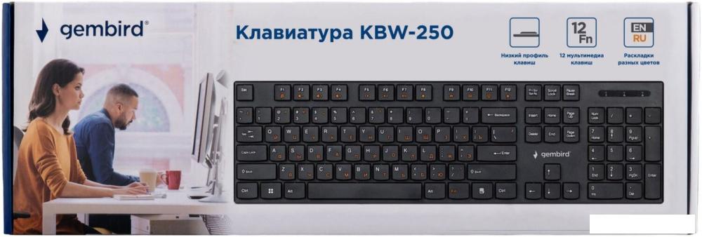 Клавиатура Gembird KBW-250