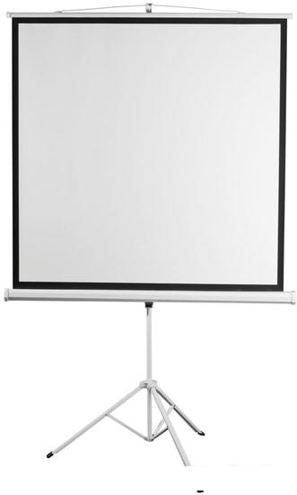 Проекционный экран Digis Kontur-D 186x189 DSKD-1105