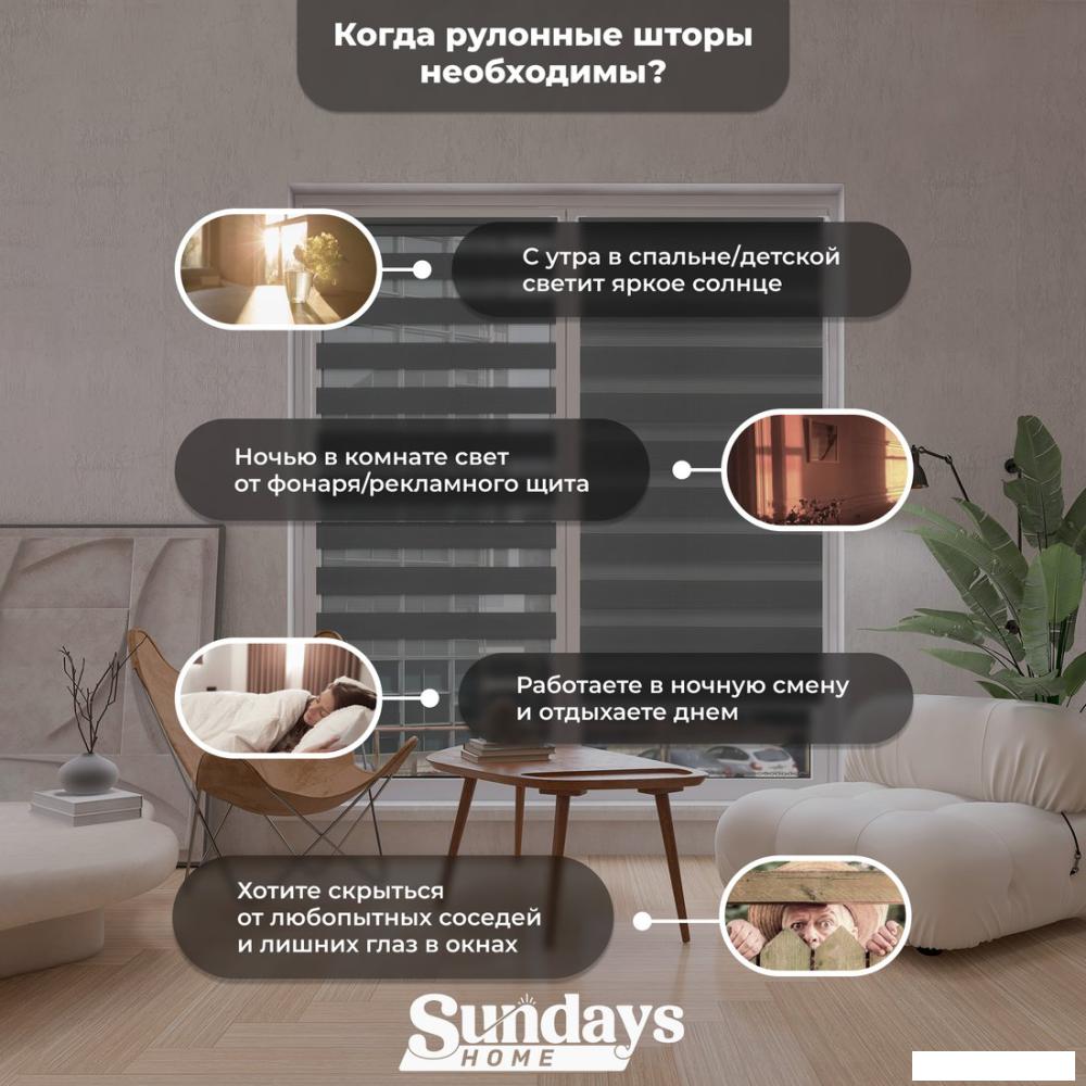 Шторы день-ночь Sundays Home ДН LB 111-10 160x170 (графитовый)