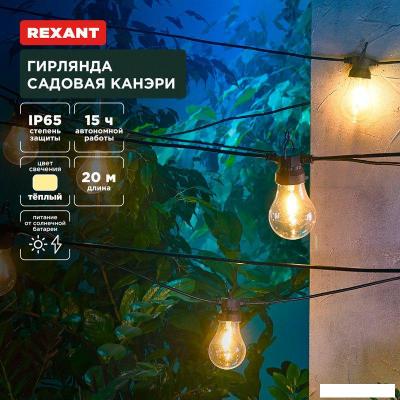 Светодиодная гирлянда Rexant Канэри 602-2423