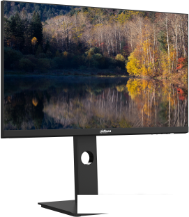 Монитор Dahua DHI-LM24-P301A