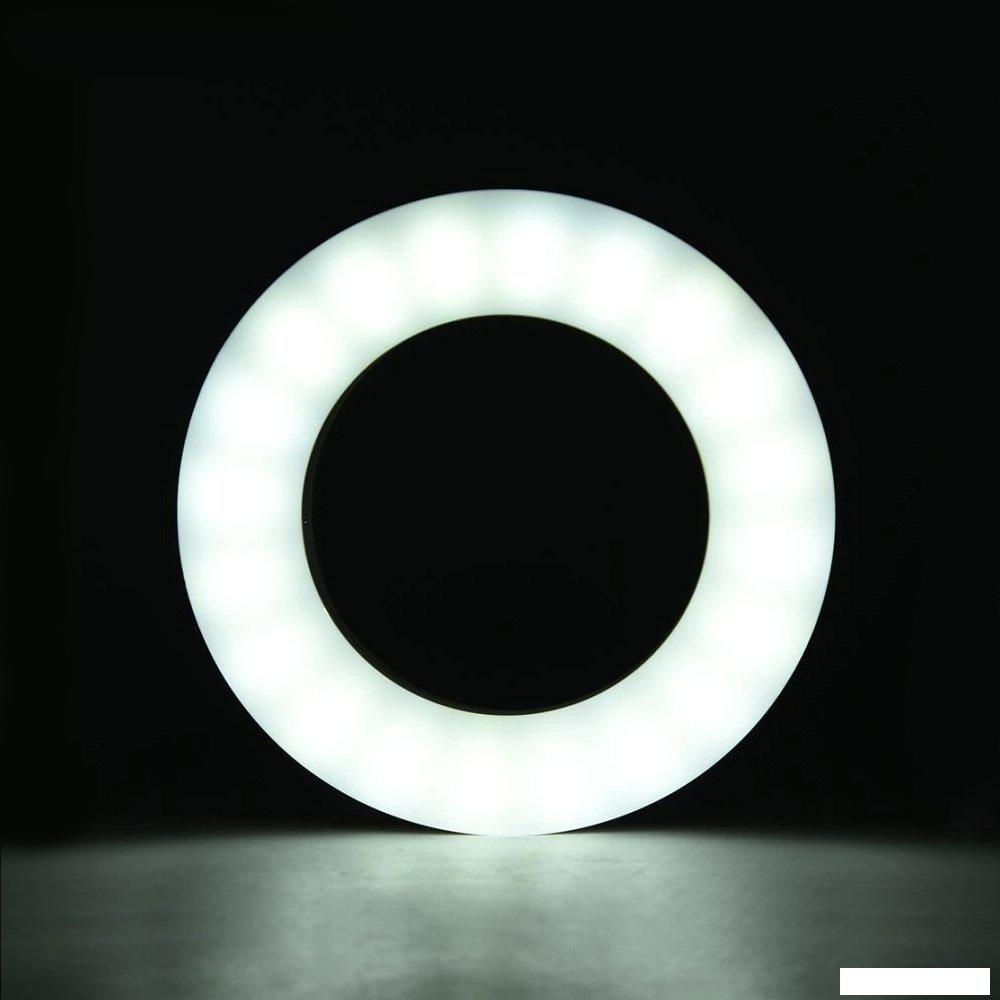 Кольцевая лампа DF LED-02 (белый)