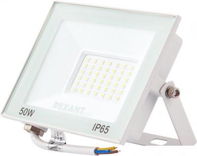 Уличный прожектор Rexant 605-035