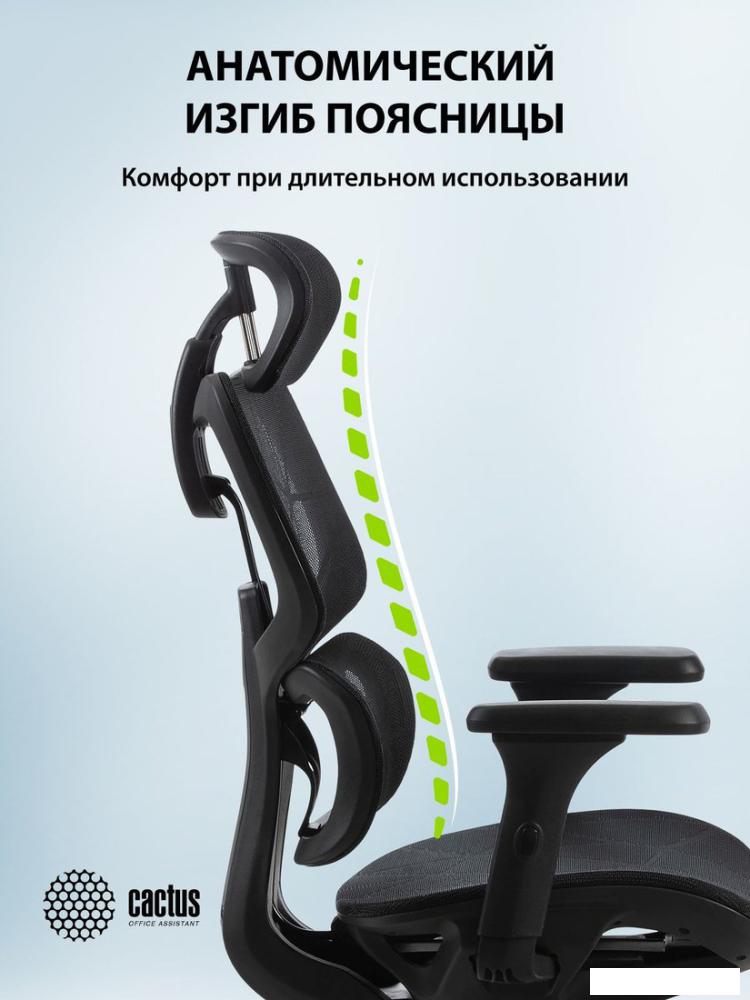 Офисное кресло CACTUS CS-MC555-BK (черный)