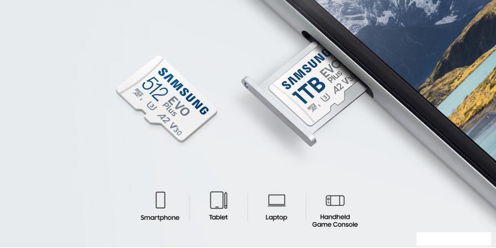 Карта памяти Samsung EVO Plus 2024 microSDXC 64GB (с адаптером)