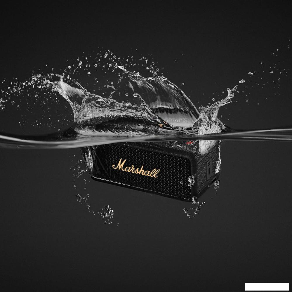 Беспроводная колонка Marshall Emberton III (черный/латунь)