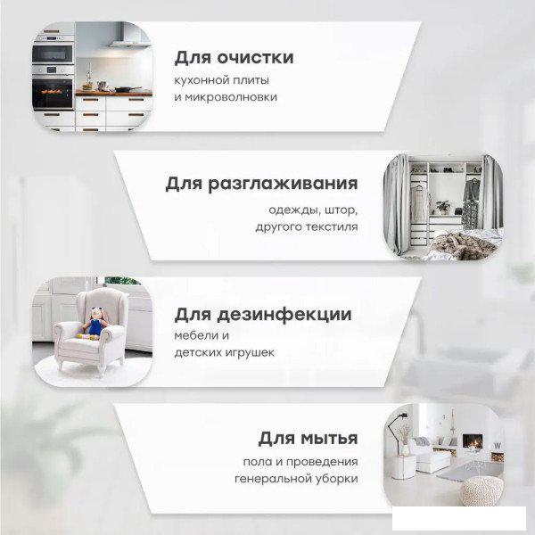 Пароочиститель Bort BDR-3000-RR