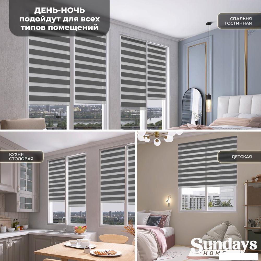 Шторы день-ночь Sundays Home ДН LB 111-10 160x170 (графитовый)