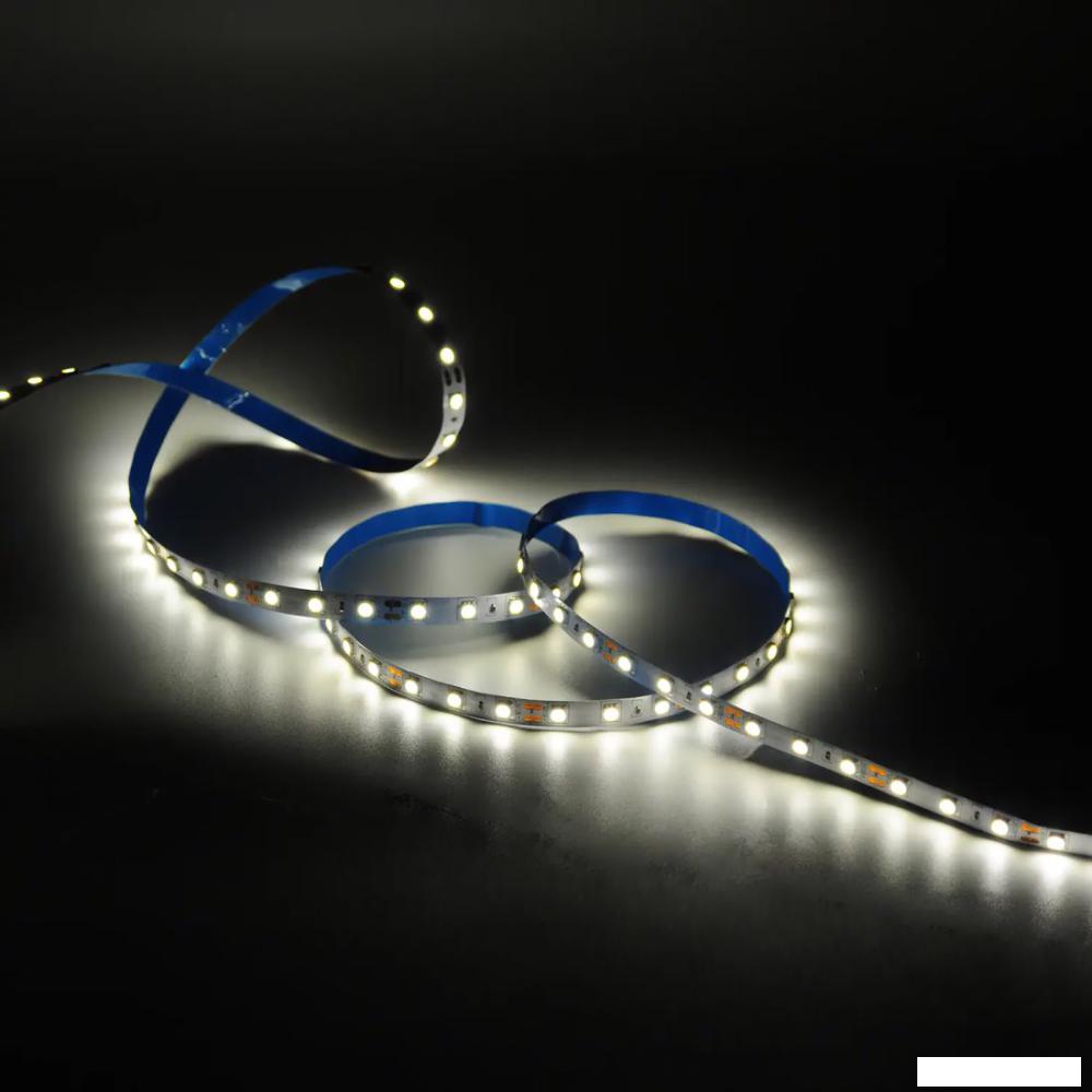 Светодиодная лента Gauss Basic LED 5050/60 12V 10W/m 700lm/m 3000K 10mm IP20 1m 1/100 BT033