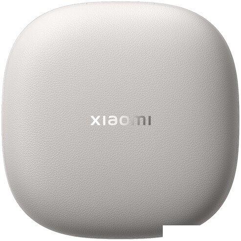 Наушники Xiaomi OpenWear Stereo M2503E1 (титановый серый, международная версия)