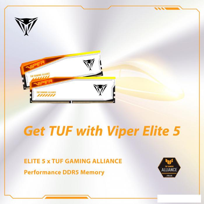 Оперативная память Patriot Viper Elite 5 RGB TUF Gaming Alliance 2x24ГБ DDR5 6000 МГц PVER548G60C36KT
