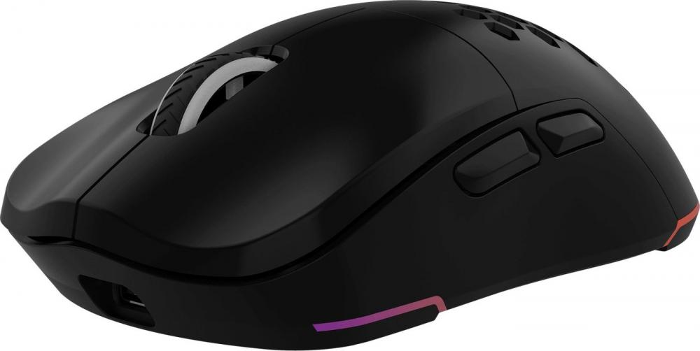 Игровая мышь Оклик 900GMW (черный)
