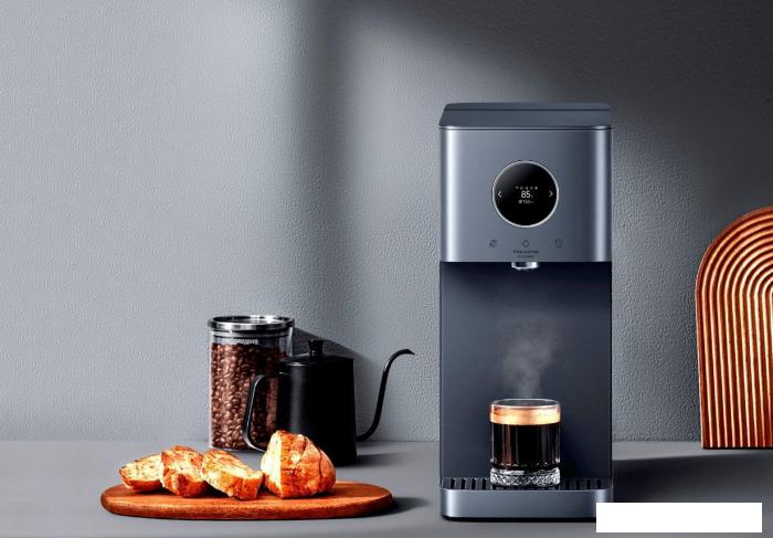 Термопот Xiaomi Smart Filtered Water Dispenser Pro MRH142-1A (евровилка)