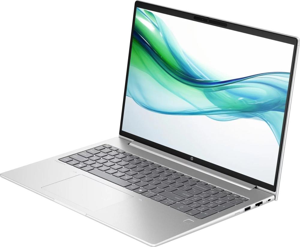 Ноутбук HP ProBook 460 G11 D2FP5ET